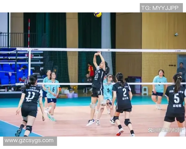 排球团队协作实力大比拼北京排球队荣获第二名佳绩 排球团队协作实力大比拼北京排球队荣获第二名佳绩