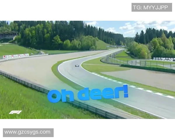 巴西与奥地利精彩对决录像回放全程回顾与精彩瞬间分析