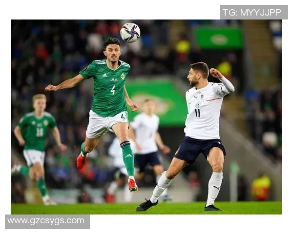 006荷兰对阵北爱尔兰精彩回顾与赛后分析