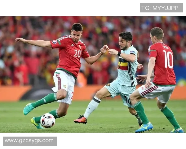 006德国对阵北爱尔兰的精彩较量回顾与分析