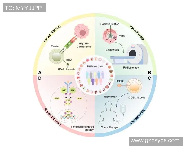007与载体连接的精彩对决探秘与技术解析