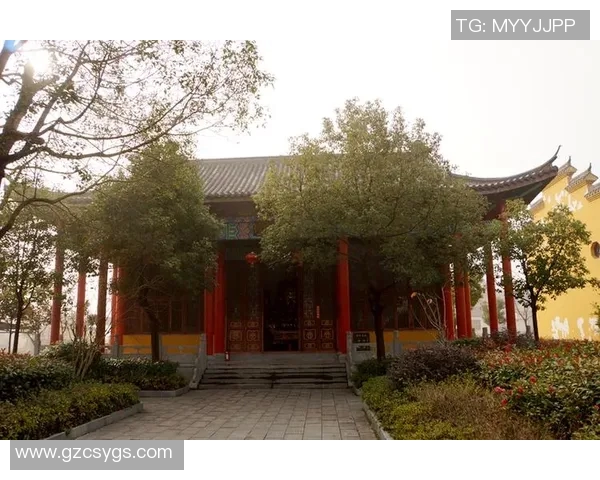 山神山行与岐路交汇的神秘探寻之旅