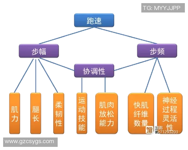 重庆篮球队耐力表现数据分析揭示运动员训练效果与比赛策略的关系