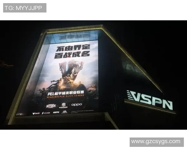 聚焦和平精英：探讨WE战队在战术灵活性上的优势与挑战