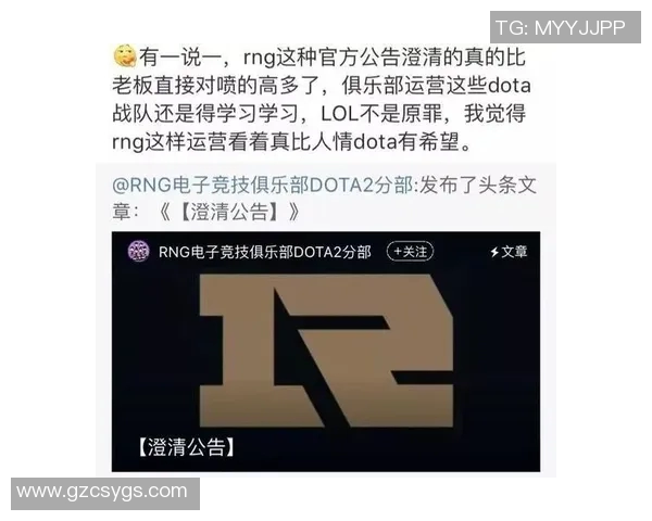 DOTA2巨献：深入解析WE战队的技术策略与战术布局