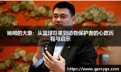 球王会官网