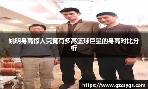 球王会体育