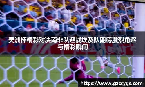 球王会体育